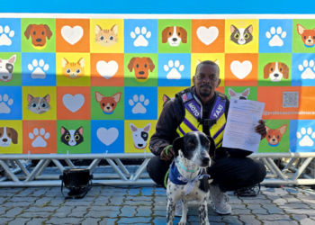 Feira de adoção de cães acontece neste sábado (19), no Shopping Plaza Macaé, das 10h às 14h, com orientações para futuros tutores.