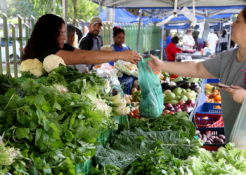 Feira da Roça acontece de terça a domingo em diferentes pontos de Campos dos Goytacazes com produtos da agricultura familiar.