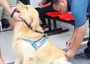 Quissamã vacinou 1.570 cães e gatos contra a raiva durante o Dia D. Imunização segue disponível até 30 de outubro na Vigilância em Saúde.