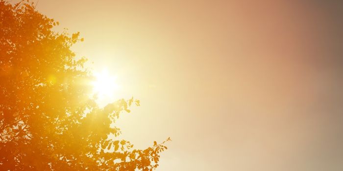 Seis estados entram na área da primeira onda de calor da primavera. Veja onde as temperaturas poderão passar dos 40°C.