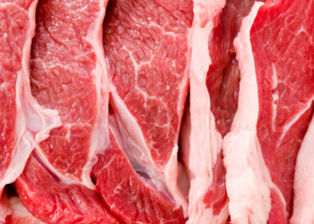 União Europeia deve suspender temporariamente a entrada de carne brasileira devido a divergências sobre o uso de antimicrobianos na produção animal.