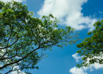Baixa ou alta umidade do ar pode afetar a saúde e causar irritação nos olhos, ressecamento e desconforto respiratório. Saiba como se proteger.
