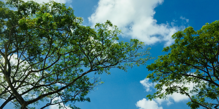 Baixa ou alta umidade do ar pode afetar a saúde e causar irritação nos olhos, ressecamento e desconforto respiratório. Saiba como se proteger.