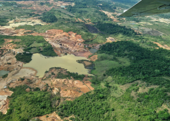 Reino Unido anuncia empréstimo de US$ 541 milhões para o fundo TFF, iniciativa brasileira que busca financiar a preservação das florestas tropicais.