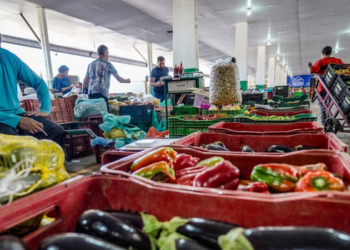  Campanha #FazAXepa promove o aproveitamento de alimentos maduros ou fora do padrão e busca reduzir o desperdício de comida no Brasil.