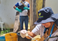Macaé promove mutirões entre os dias 19 e 23 para combater vetores, controlar mosquitos, prevenir doenças e realizar ações educativas em escolas.