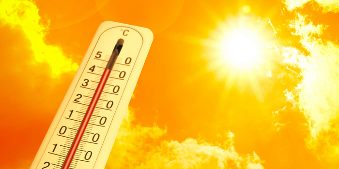 Rio das Ostras promove simpósio sobre El Niño e mudanças climáticas com palestras sobre saúde pública, prevenção de desastres e proteção da população.