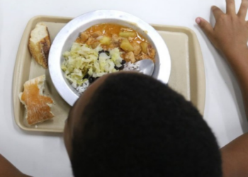 Campanha da ONU pelo Dia Mundial da Alimentação leva mensagens sobre fome e sustentabilidade a Brasília e promove ações educativas para crianças.