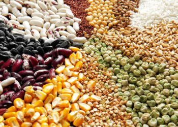 Conab estima que a safra brasileira de grãos 2026/2027 ultrapasse 367 milhões de toneladas, com avanço da soja e do milho e queda na produção de arroz e trigo.