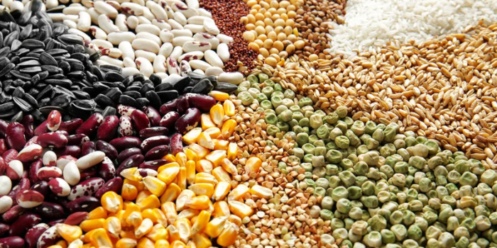 Conab estima que a safra brasileira de grãos 2026/2027 ultrapasse 367 milhões de toneladas, com avanço da soja e do milho e queda na produção de arroz e trigo.