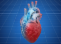 Doenças cardiovasculares matam um brasileiro a cada 72 segundos, segundo a SBC. Projeção aponta aumento de 10,8% nas mortes até 2030.