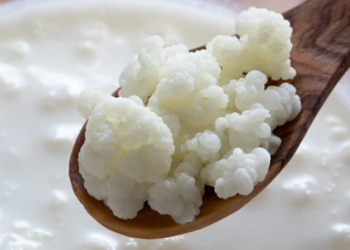 Estudo aponta que kefir, iogurte e outros alimentos fermentados podem favorecer a saúde intestinal e muscular, mas ainda não comprovam ganho de massa.