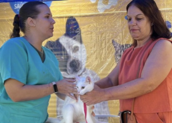 Rio das Ostras terá atendimento veterinário gratuito nos dias 3 e 4 de novembro. Saiba onde será a ação e como solicitar castração de cães e gatos.