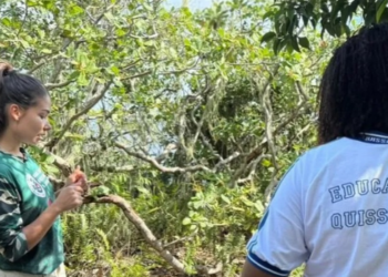 Visita orientada reúne educação ambiental, turismo e valorização do patrimônio natural do Norte Fluminense.