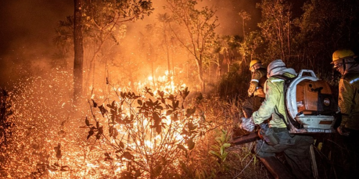 Amazonas reforça o combate às queimadas com 290 brigadistas e seis aeronaves. Governo informa que 229 incêndios florestais já foram extintos.